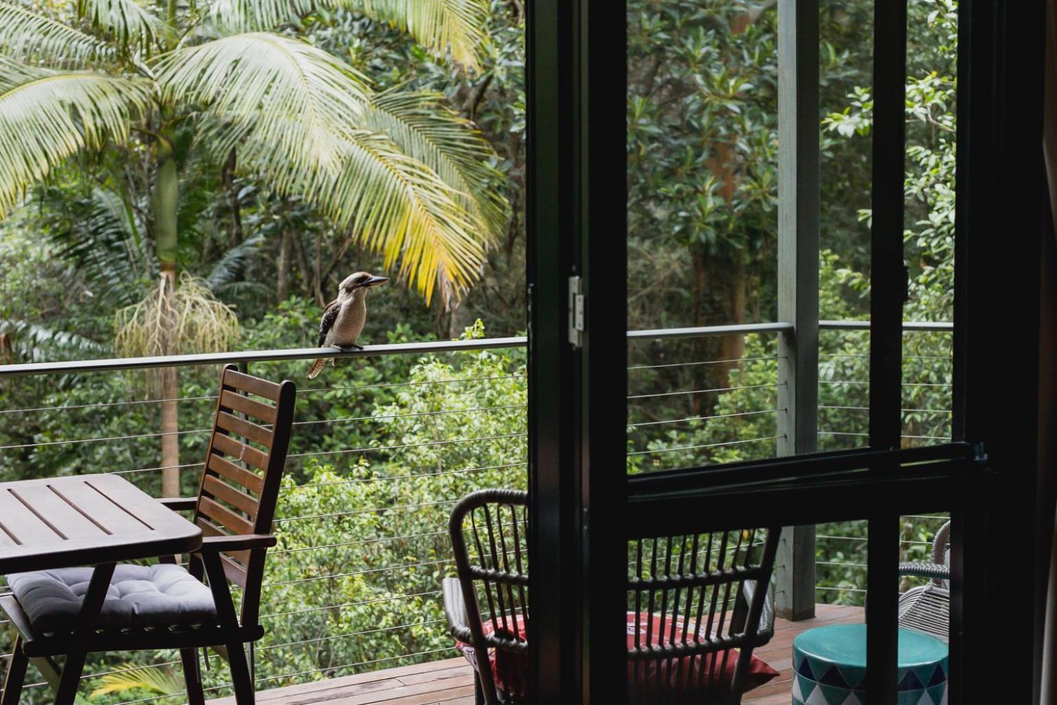 Kondalilla Eco Resort Montville Dış mekan fotoğraf