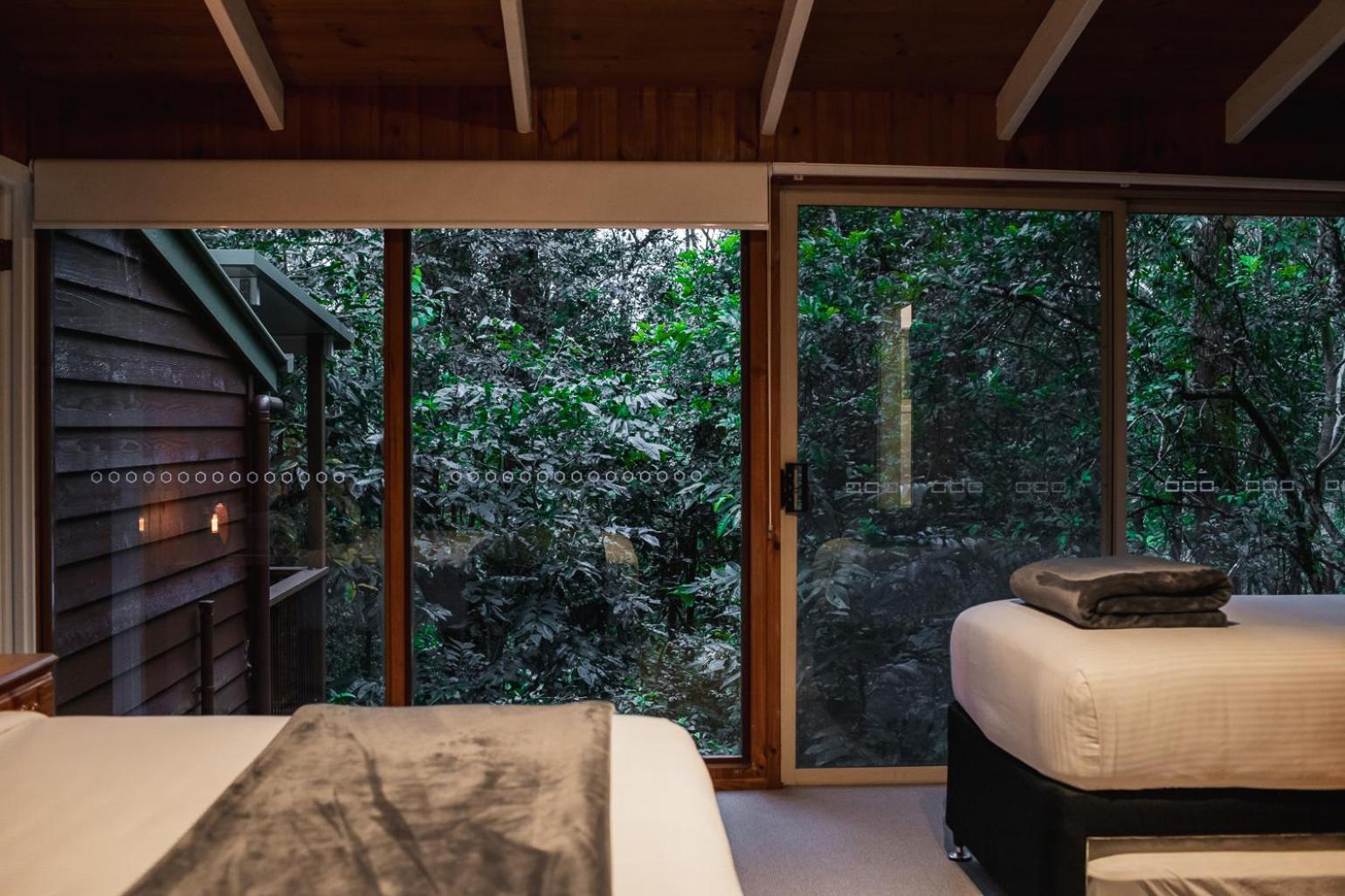 Kondalilla Eco Resort Montville Dış mekan fotoğraf