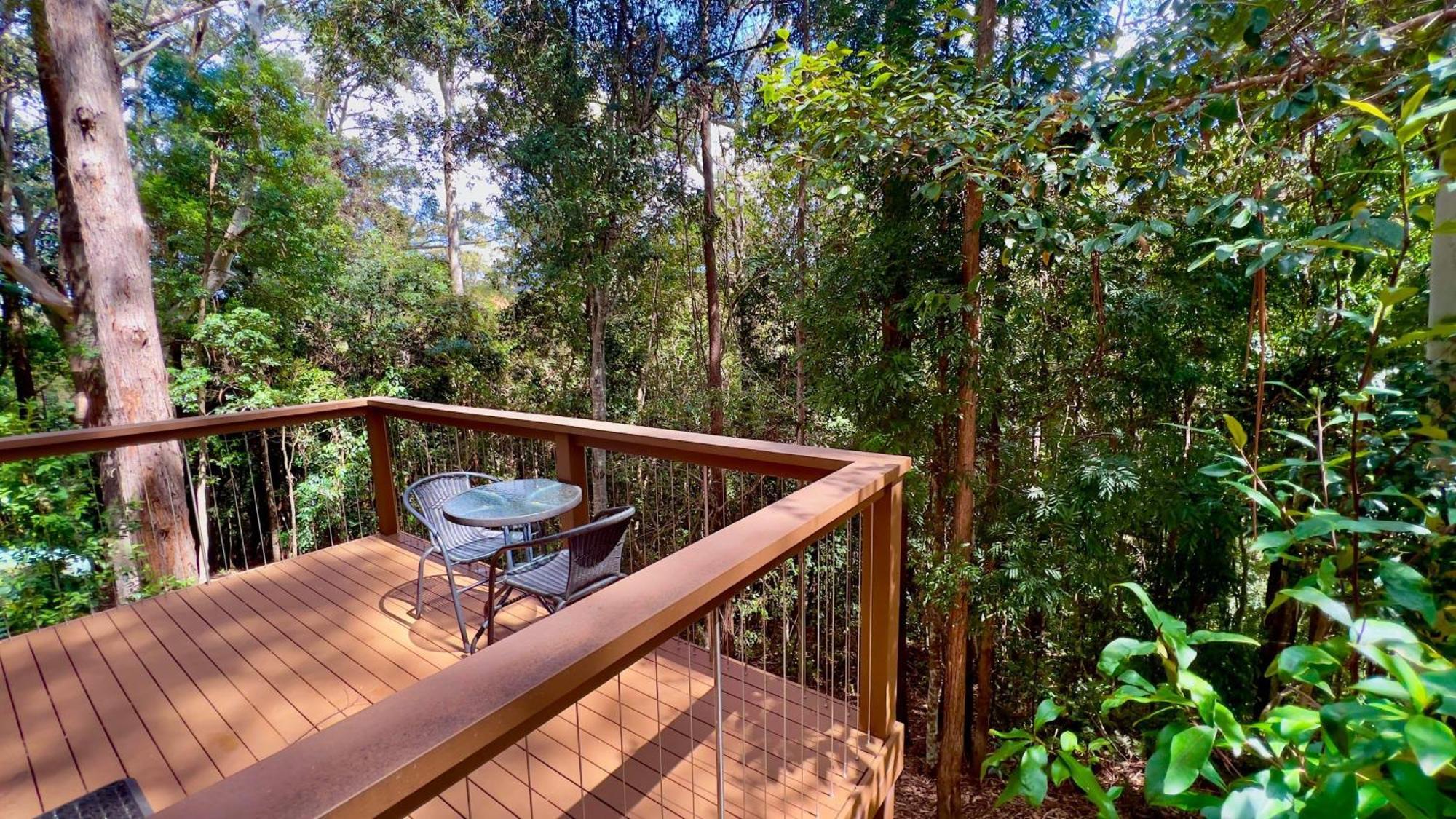 Kondalilla Eco Resort Montville Dış mekan fotoğraf
