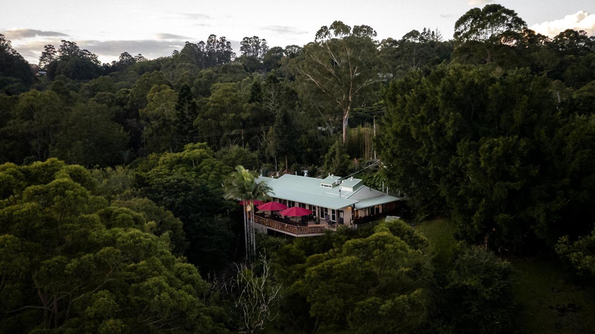 Kondalilla Eco Resort Montville Dış mekan fotoğraf