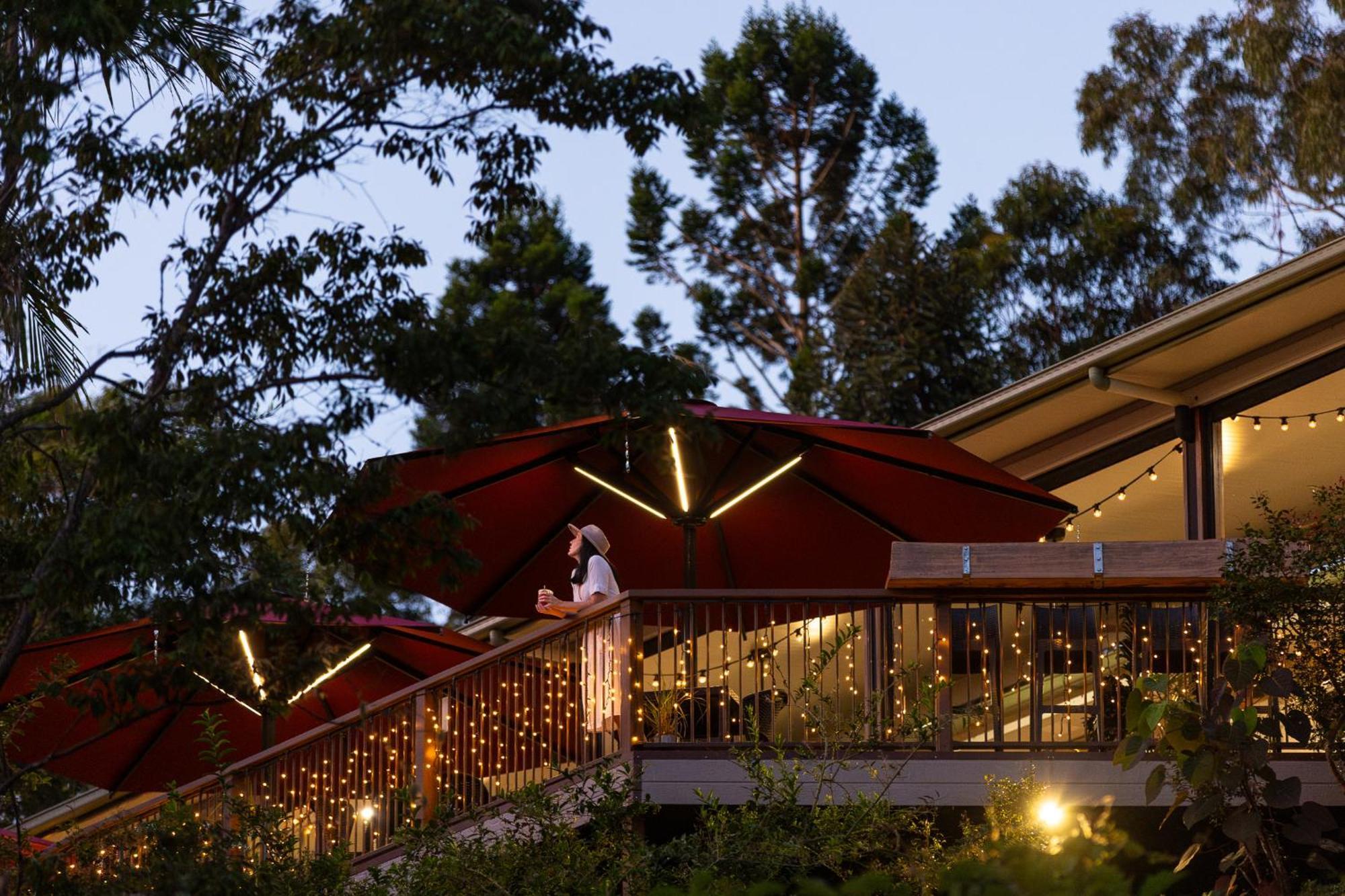 Kondalilla Eco Resort Montville Dış mekan fotoğraf