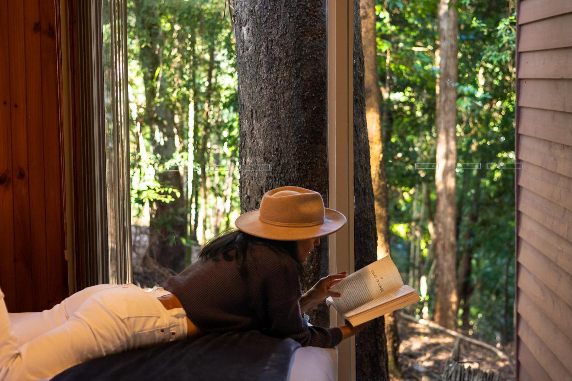 Kondalilla Eco Resort Montville Dış mekan fotoğraf