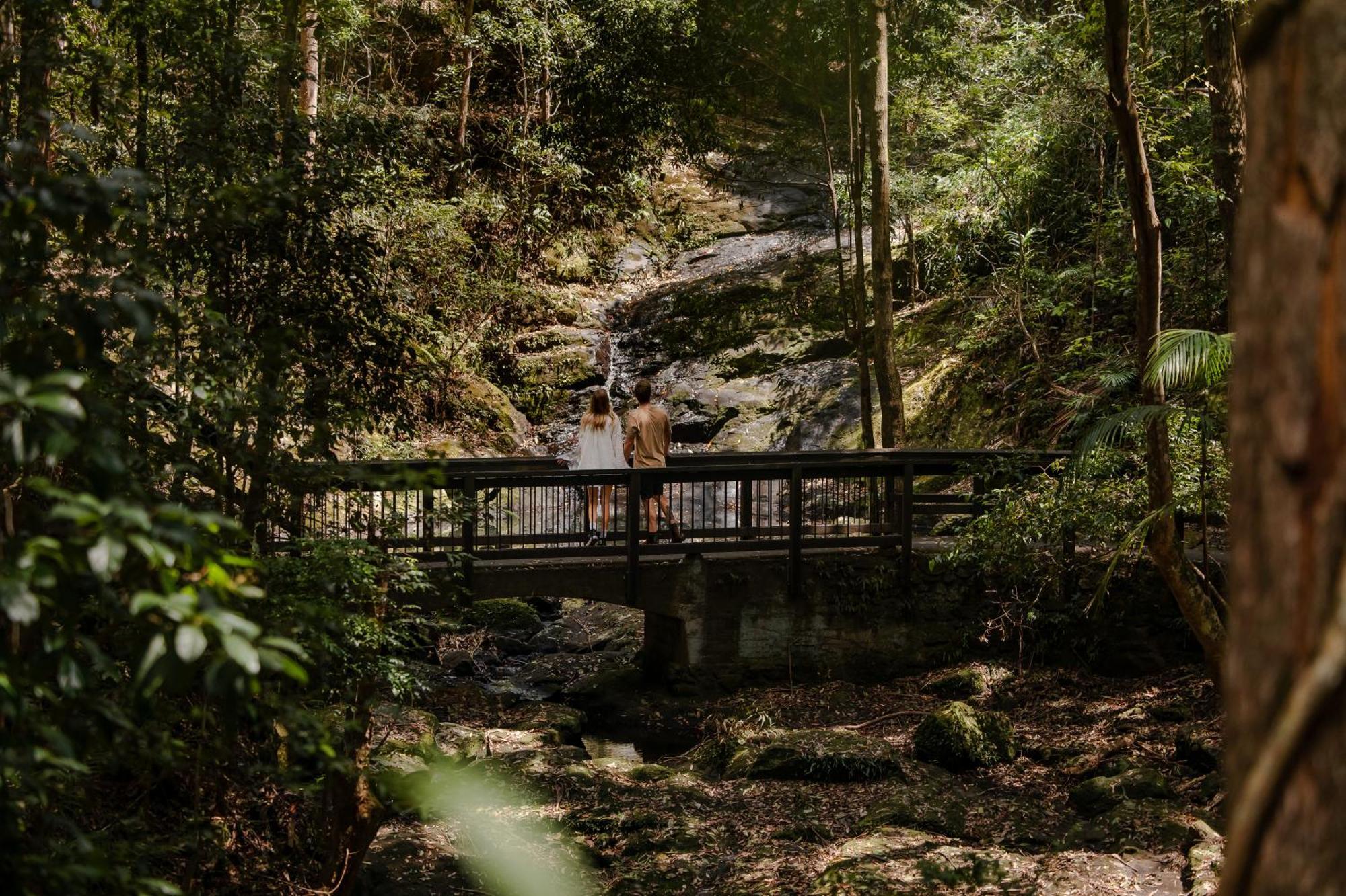Kondalilla Eco Resort Montville Dış mekan fotoğraf