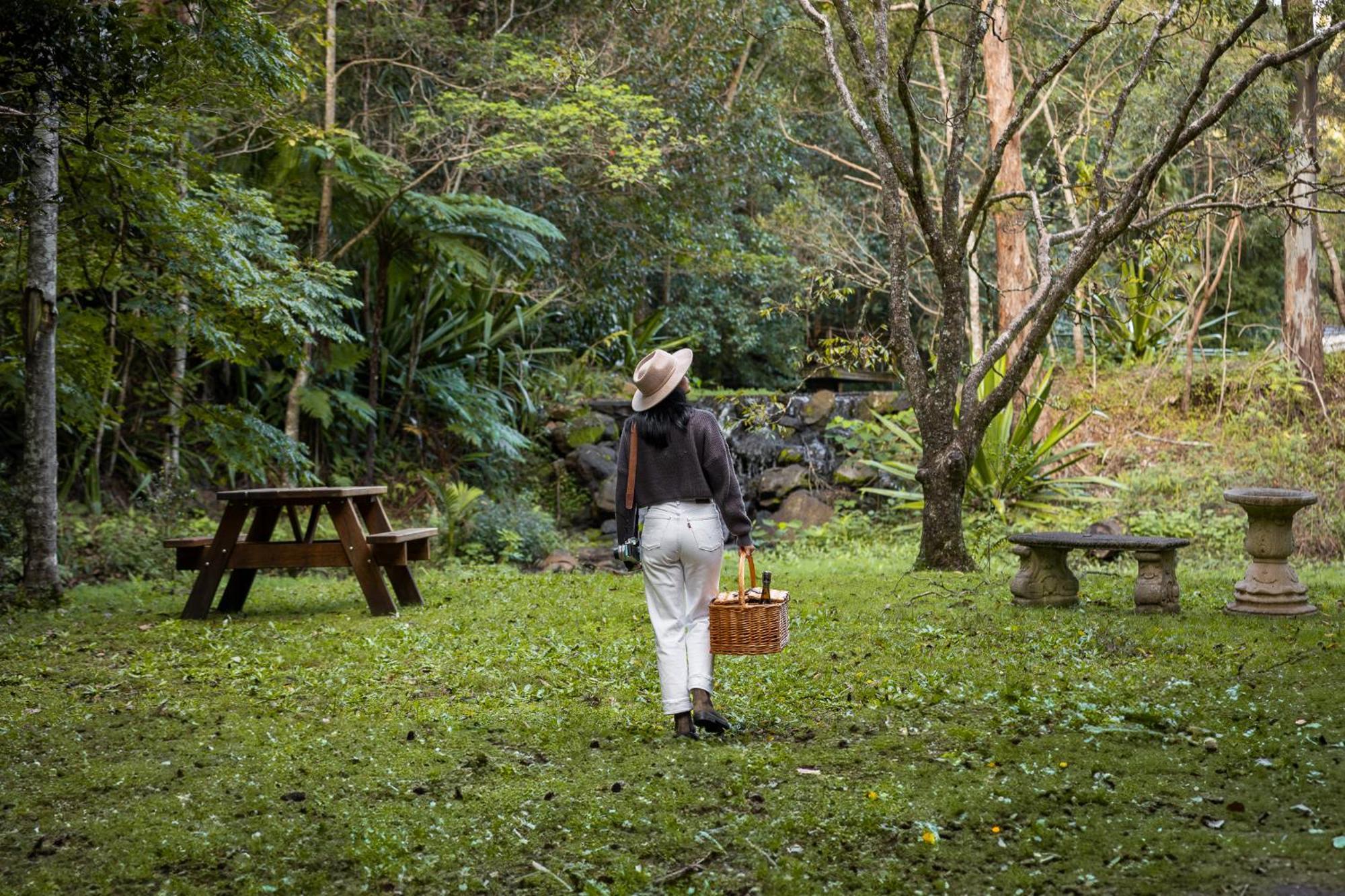 Kondalilla Eco Resort Montville Dış mekan fotoğraf